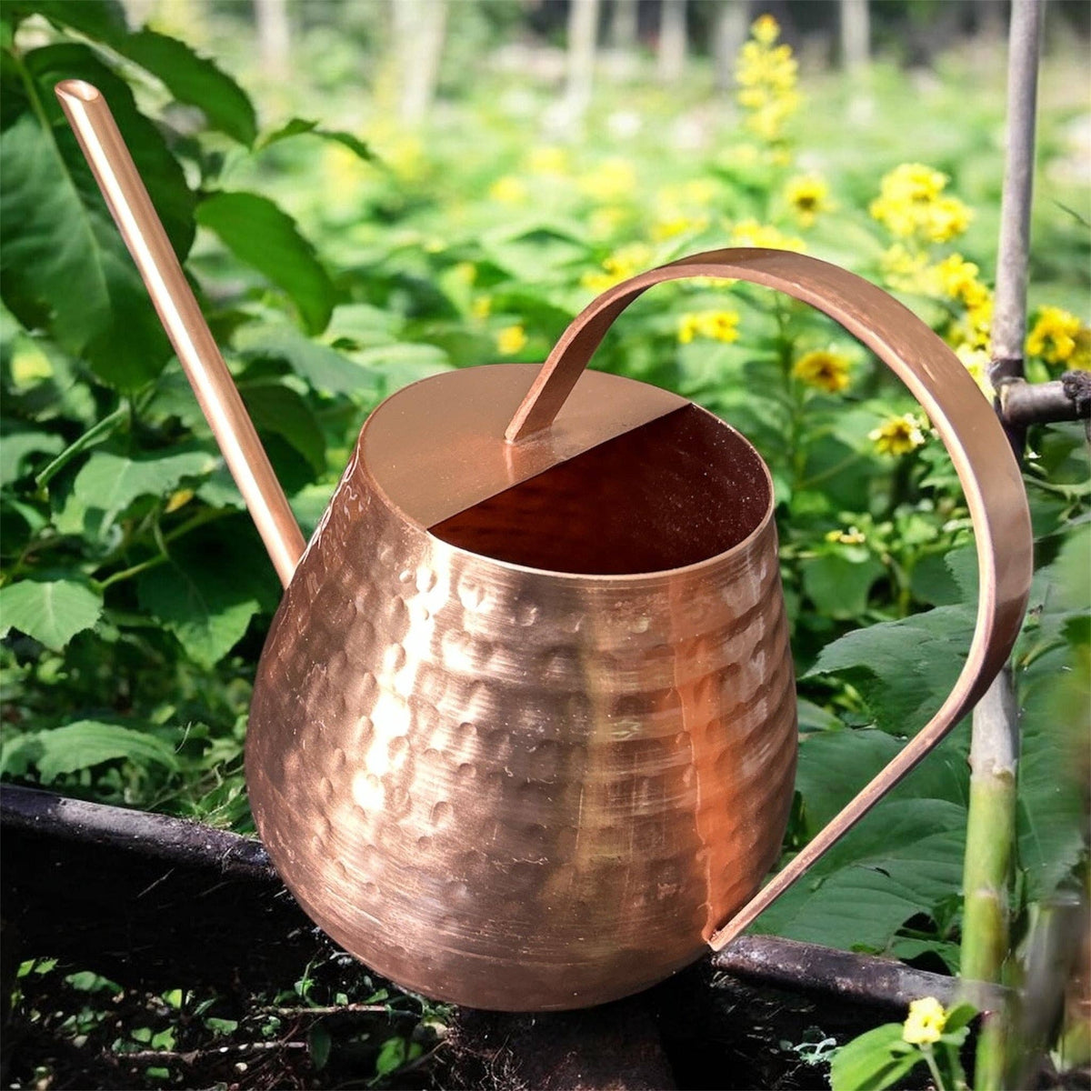 Copper Watering Can