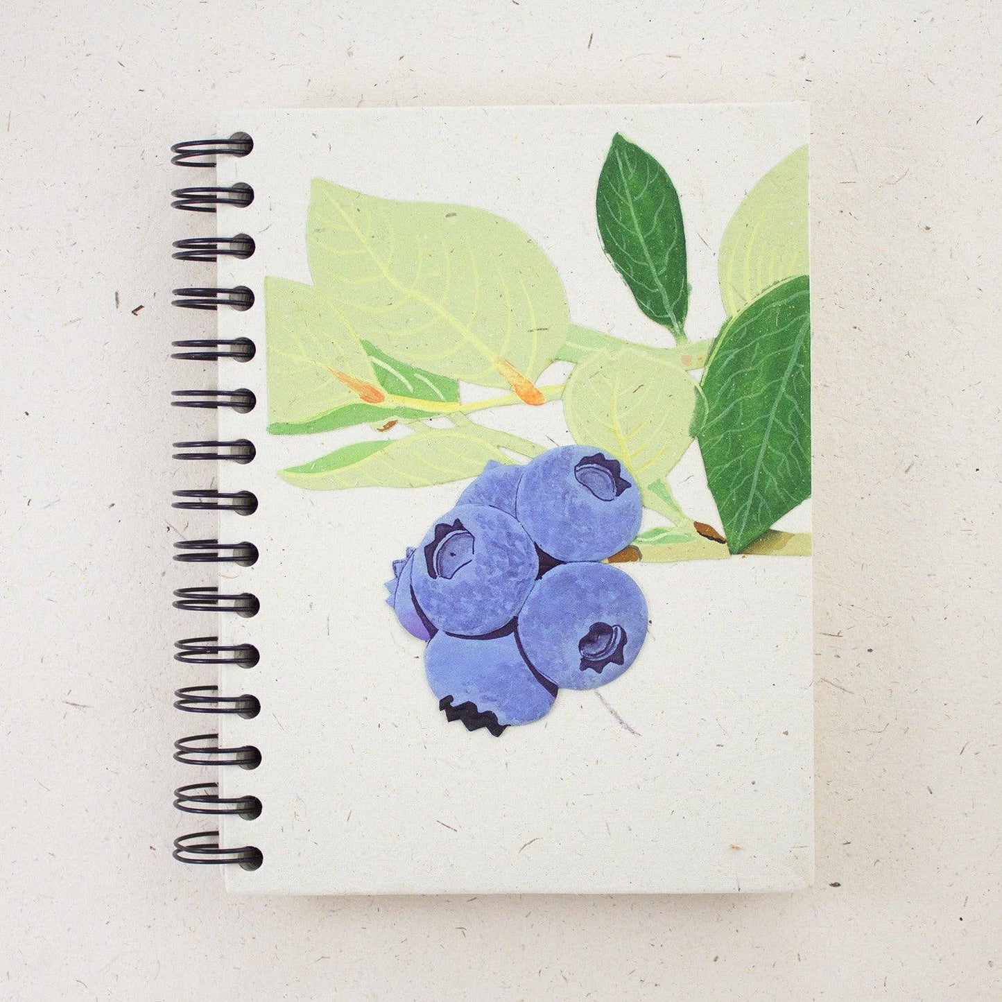 Large Notebook - Blueberries