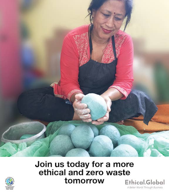 Bugs: Eco Wool Dryer Balls