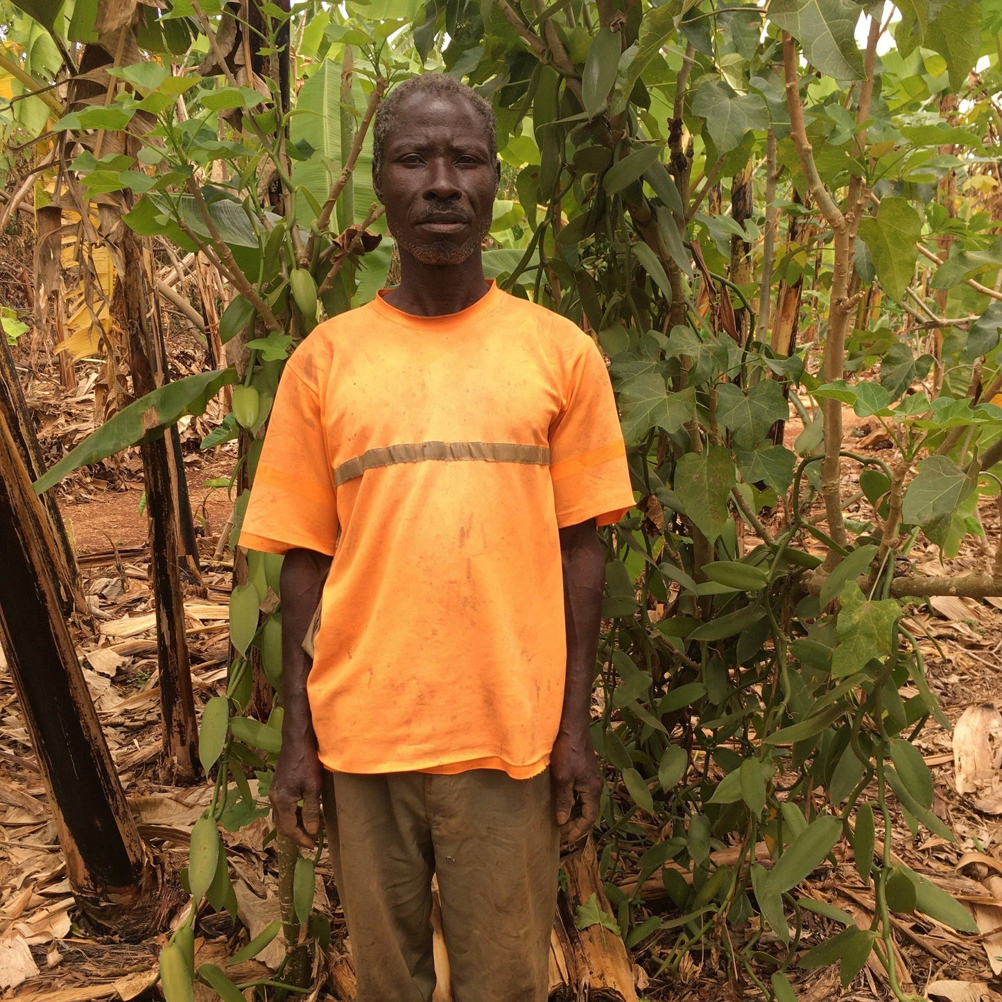 Nyanza Vanilla Powder - Single Origin Spice & Seasoning