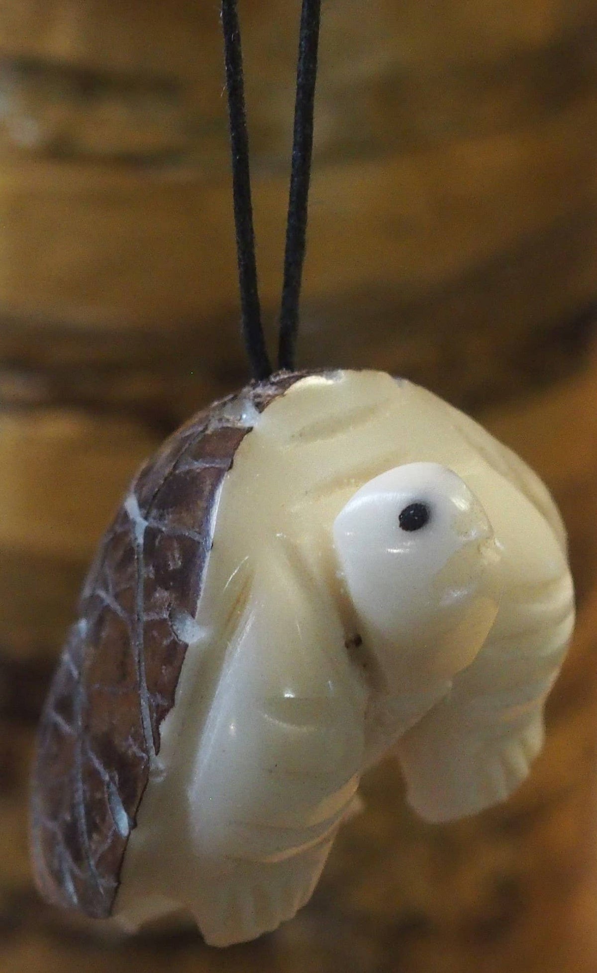 Land Turtle Tagua Ornament