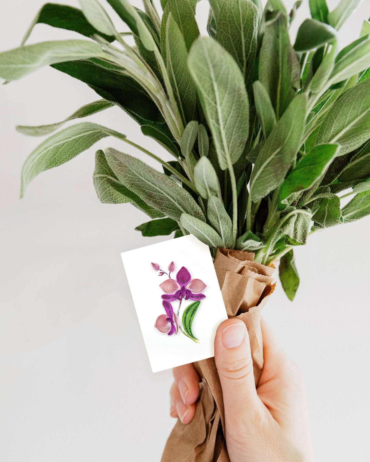 Orchid Flower Gift Enclosure Mini Card