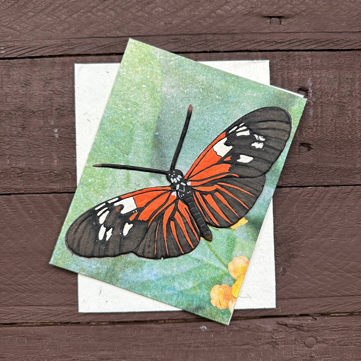 Butterfly Greeting Card - Black & Red