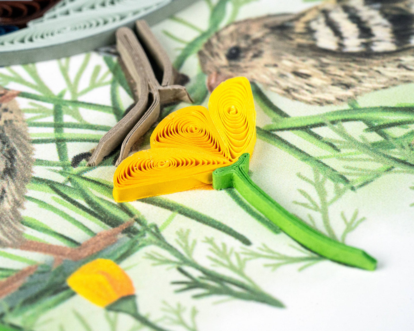 Quilled Quail with Chicks & Poppies Card