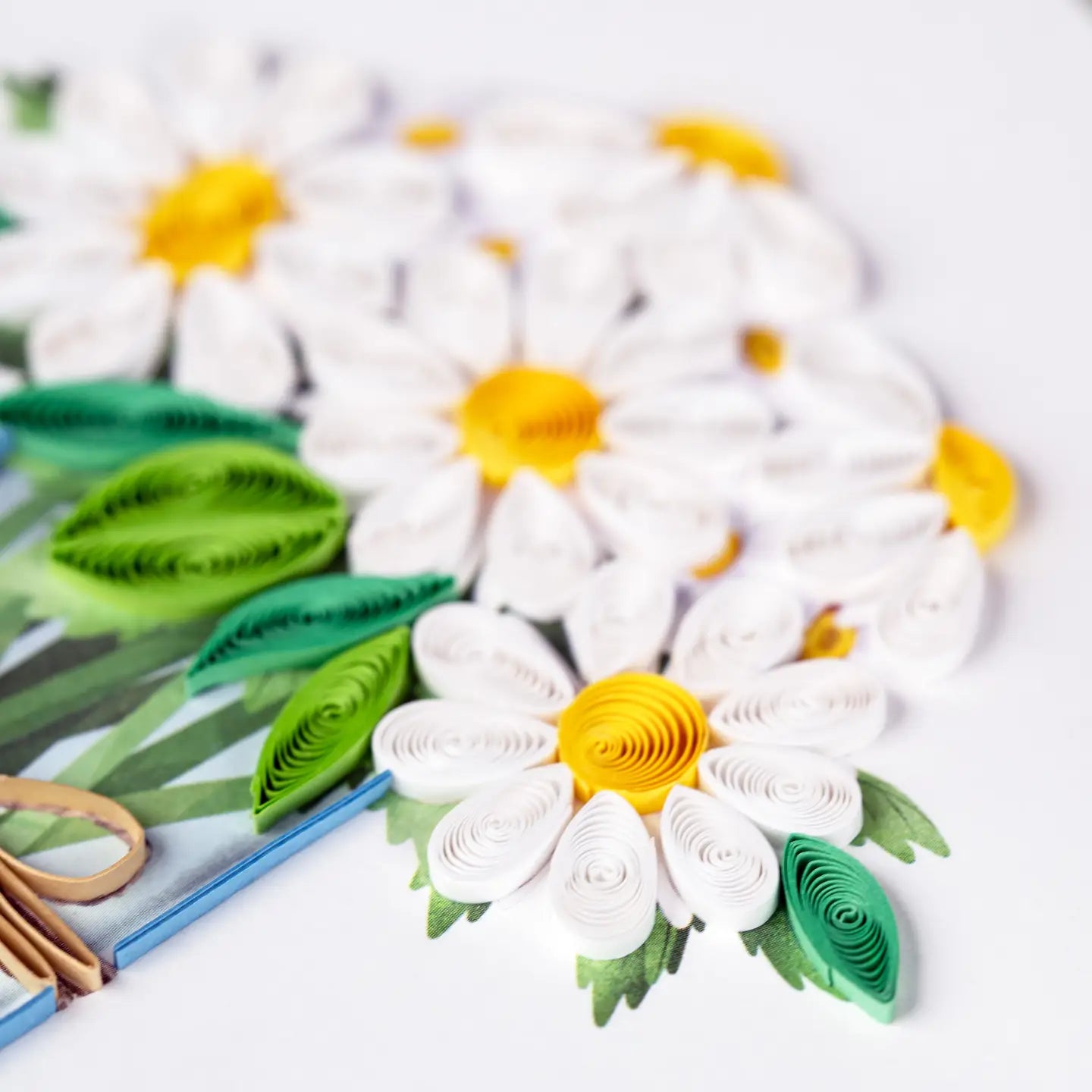 Quilled White Daisies in Jar Greeting Card