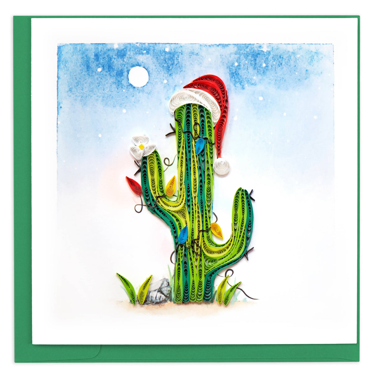 Christmas Cactus