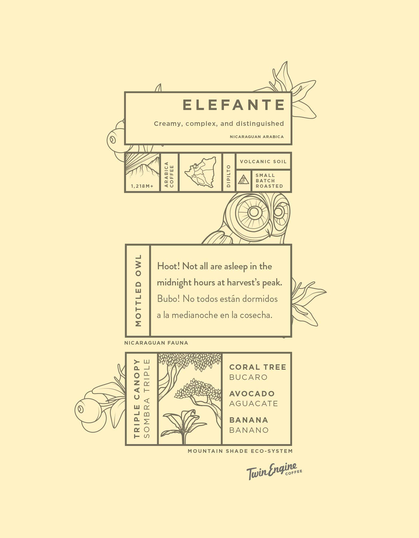 ELEFANTE RESERVE - Maragogype Whole Bean Coffee
