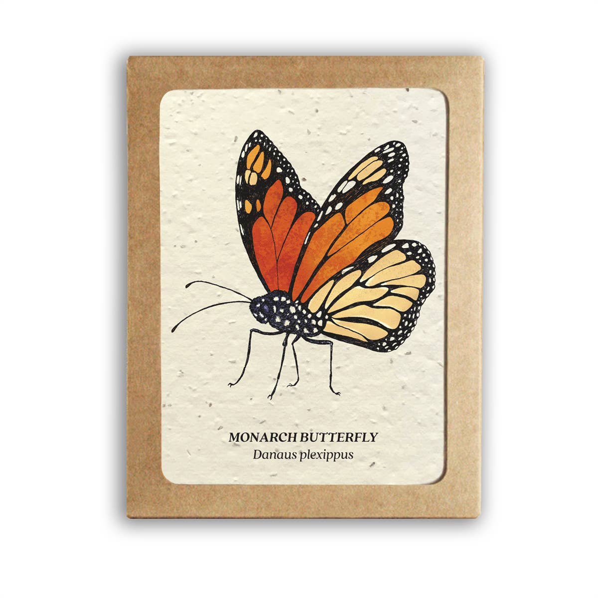Insect Card Set (8) - Plantable Wildflower Seed Paper