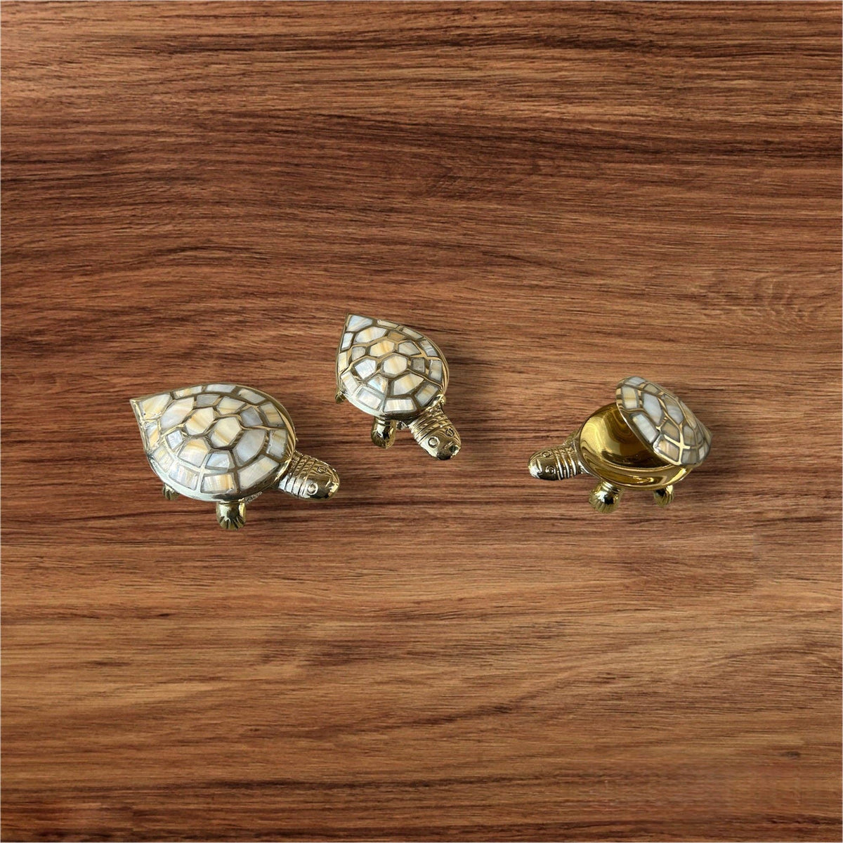Mother of Pearl Turtle Box