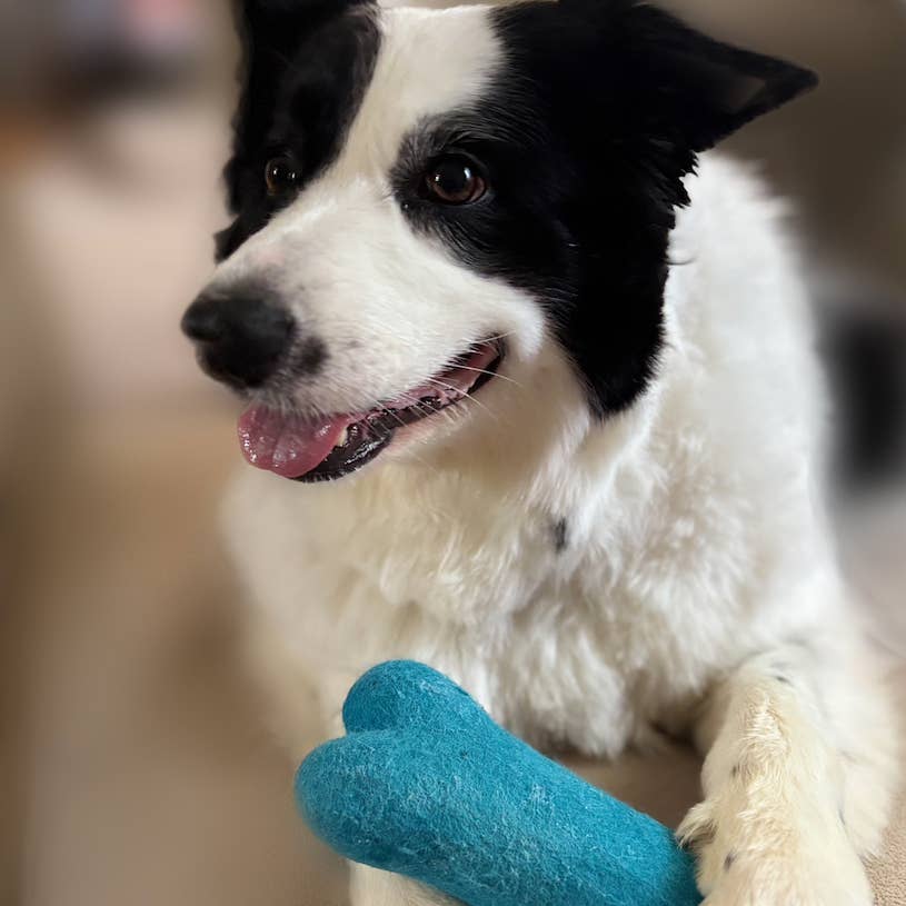 Solid Eco Wool Dog Toys