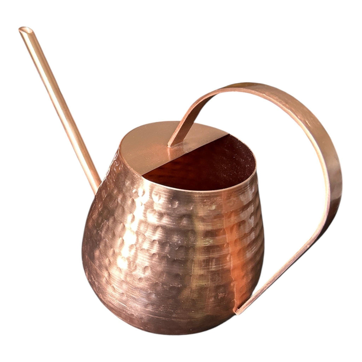 Copper Watering Can