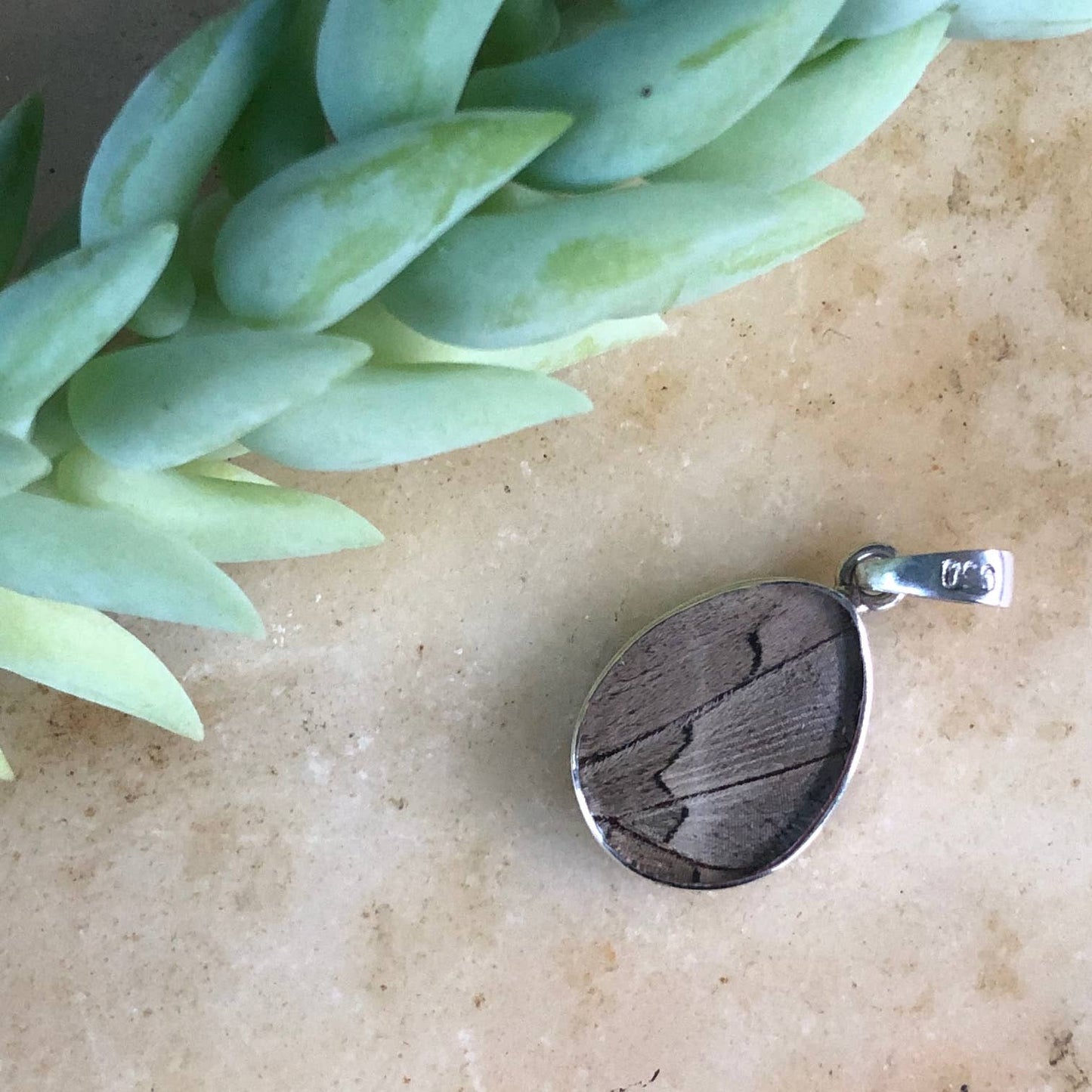 Three-toned Prepona Butterfly Pendant