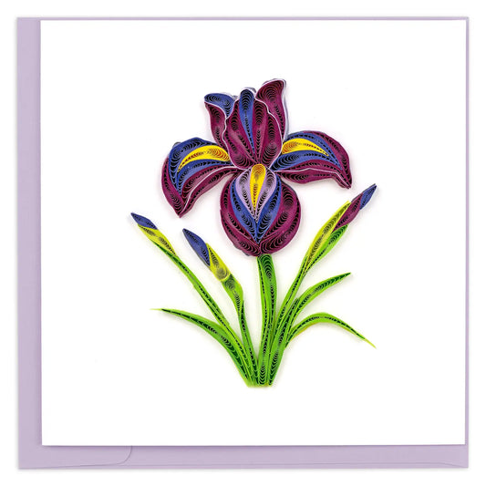 Quilled Iris Greeting Card
