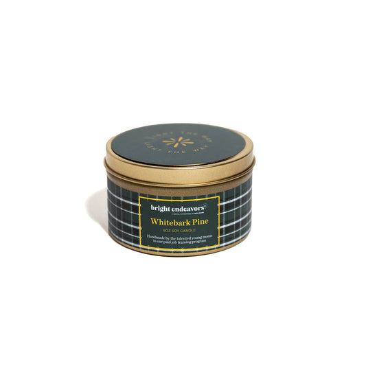 8oz Tin Soy Candle - Whitebark Pine