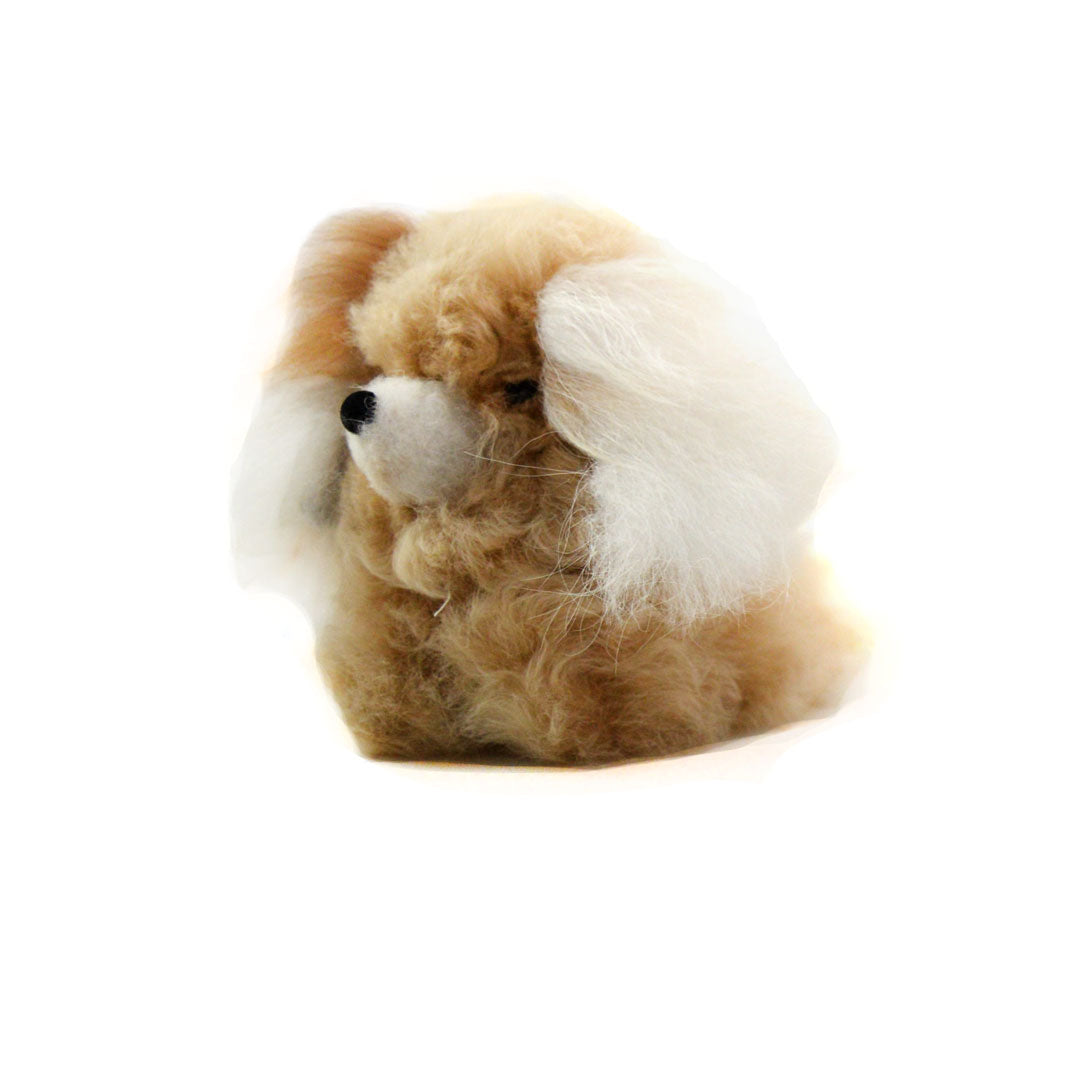 Alpaca Dog