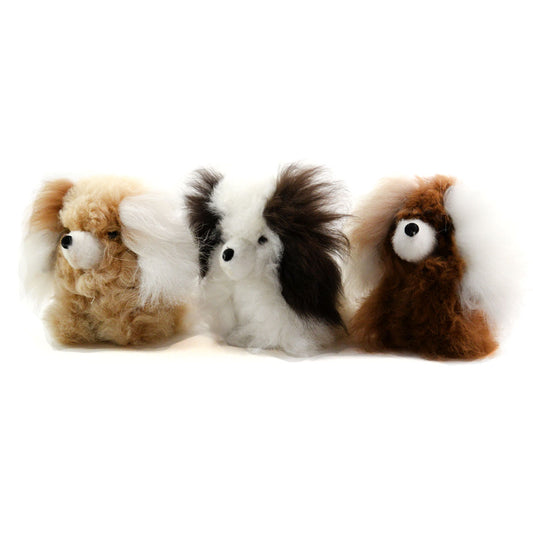Alpaca Dog