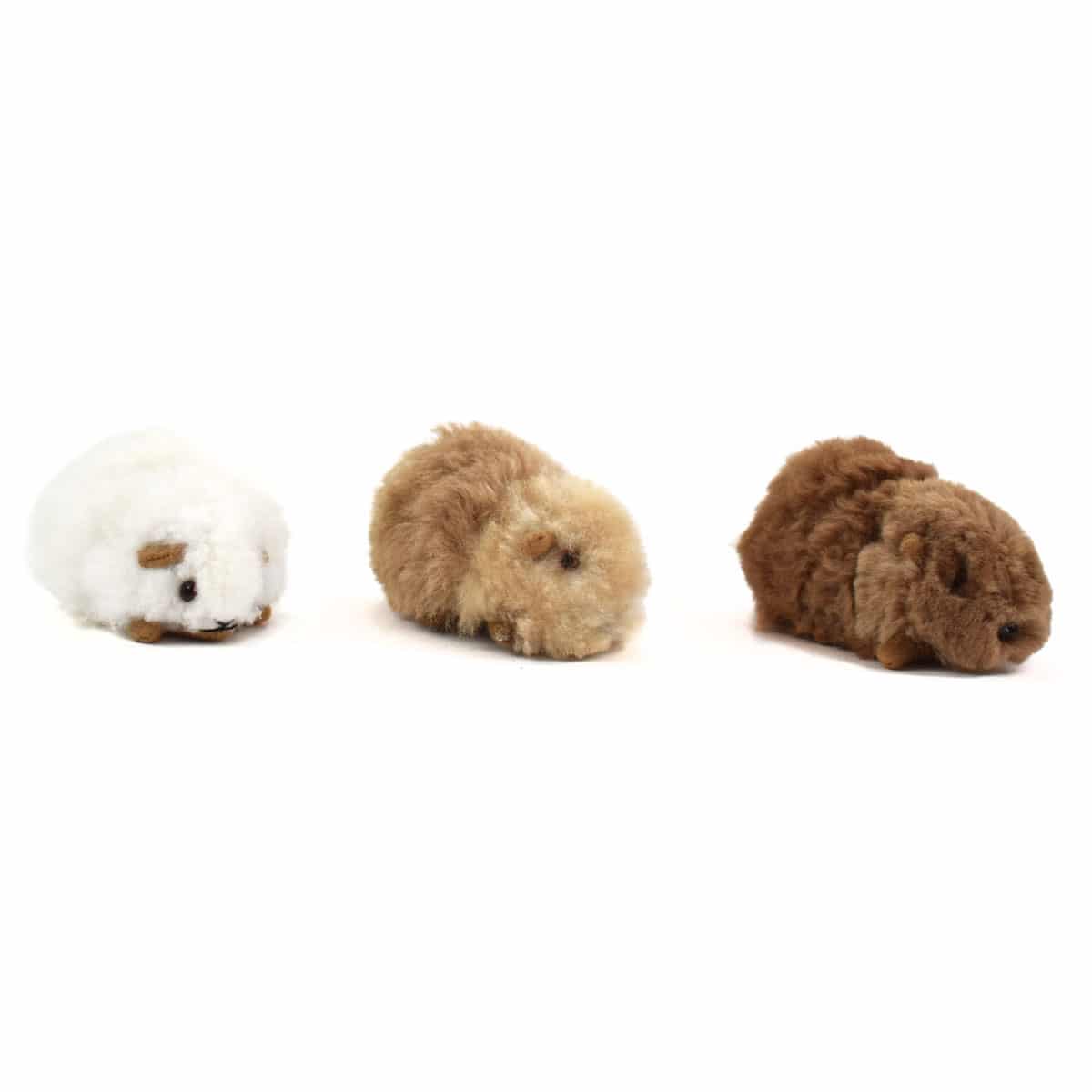 Alpaca Guinea Pig - Small