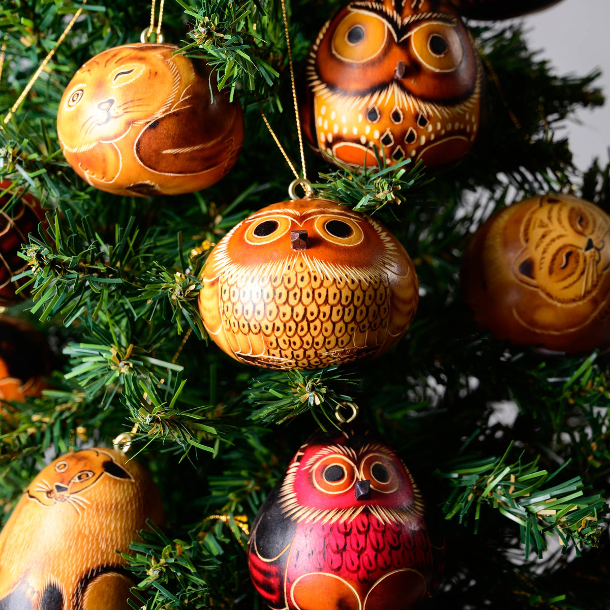 Mini Owl Gourd Ornament - Assorted