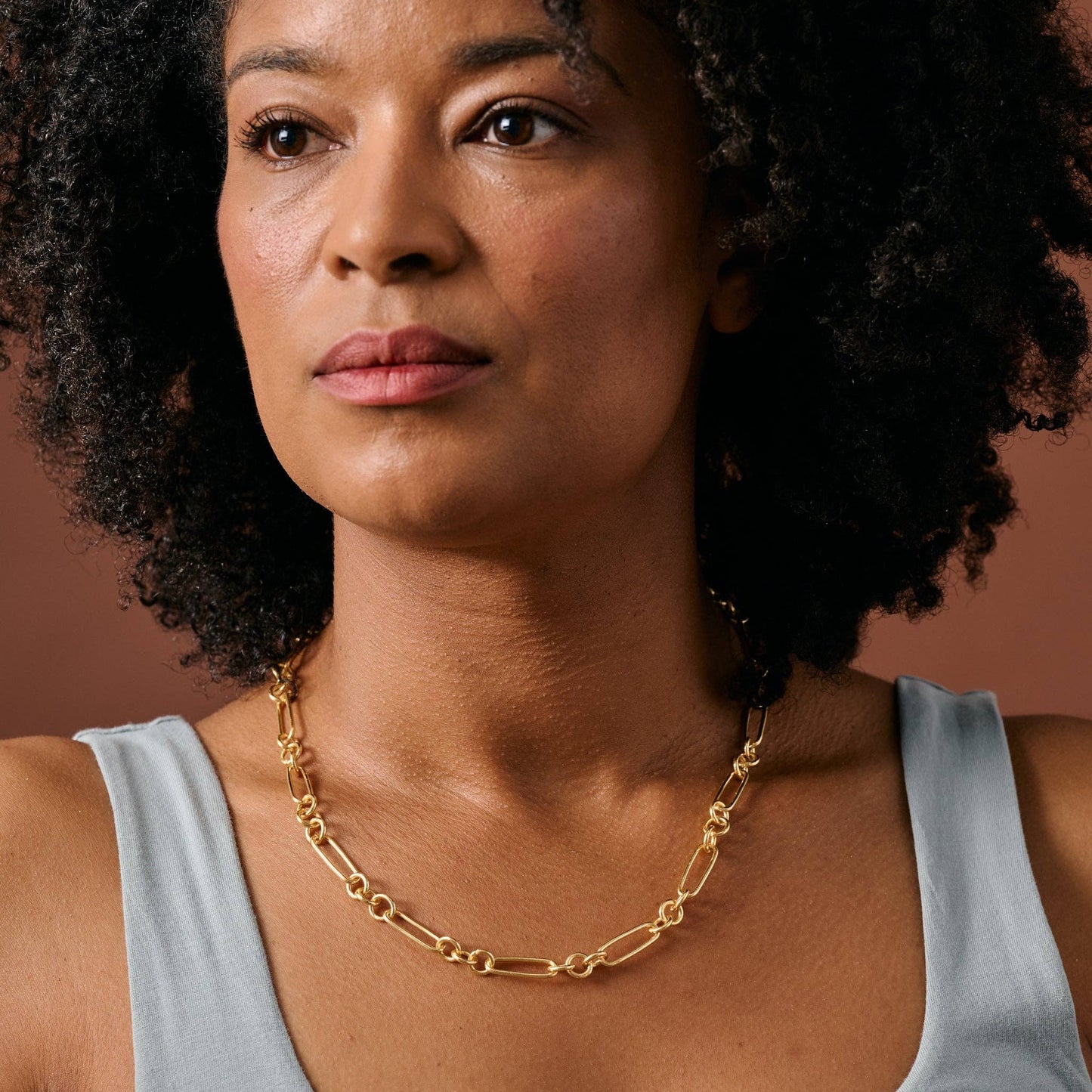 Lajita Gold Link Necklace