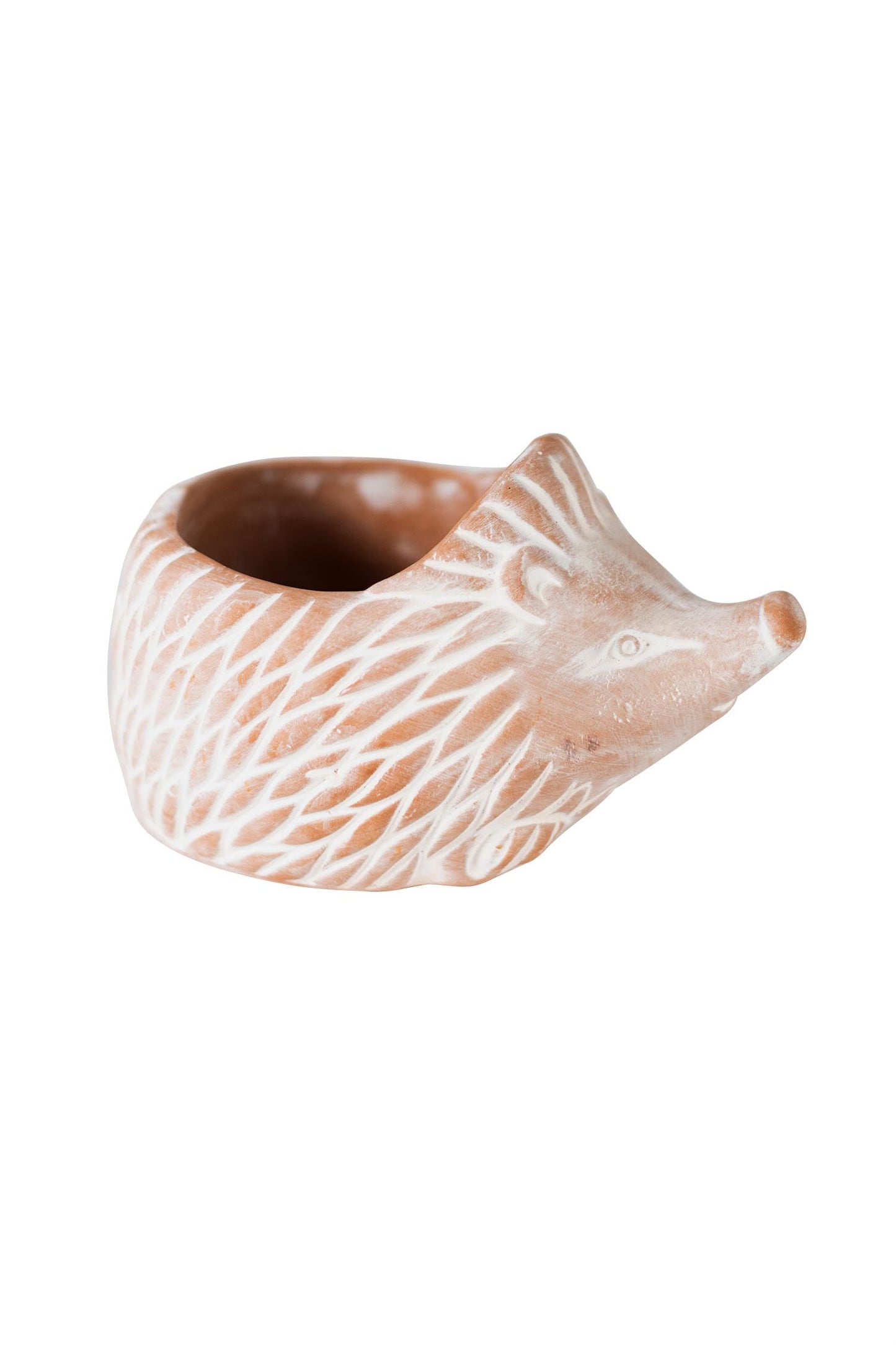 Hedgehog Planter (SM)