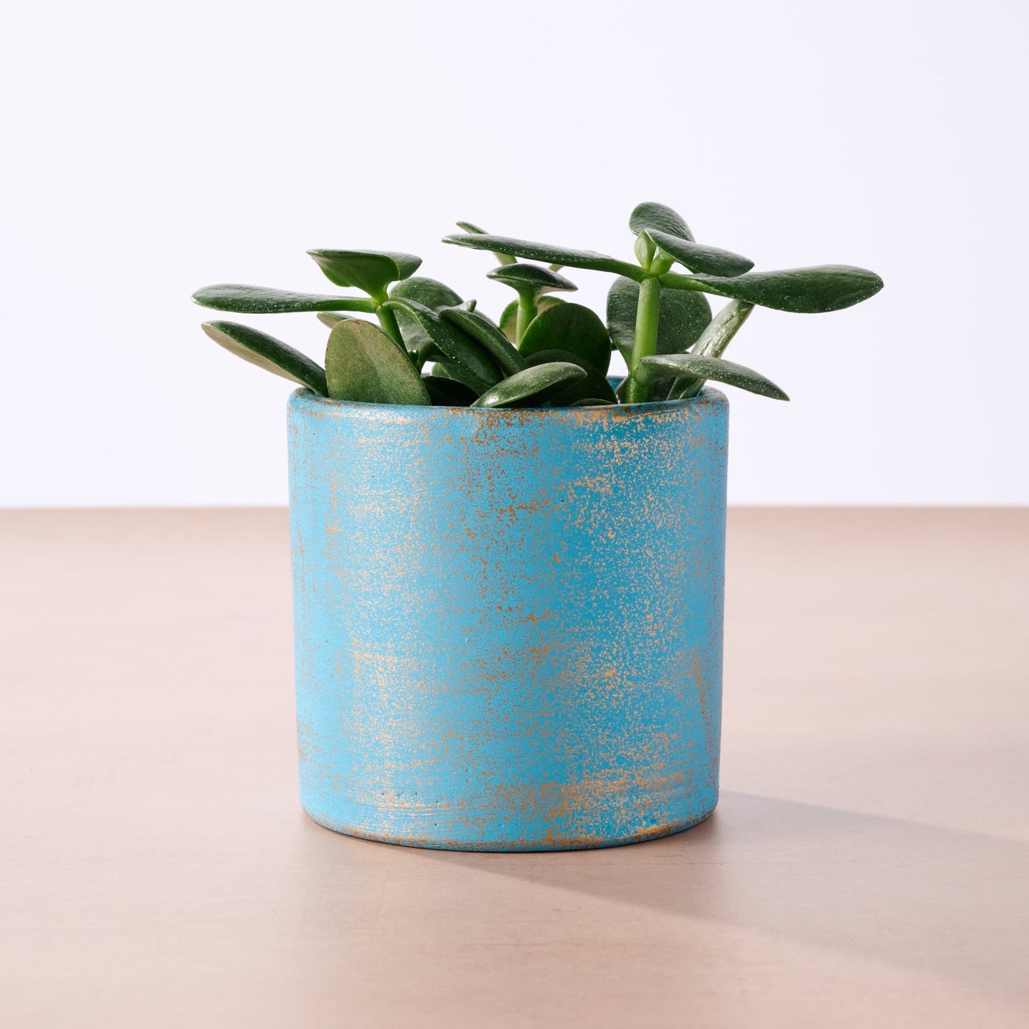 Chota Terracotta Mini Planter - Light Blue