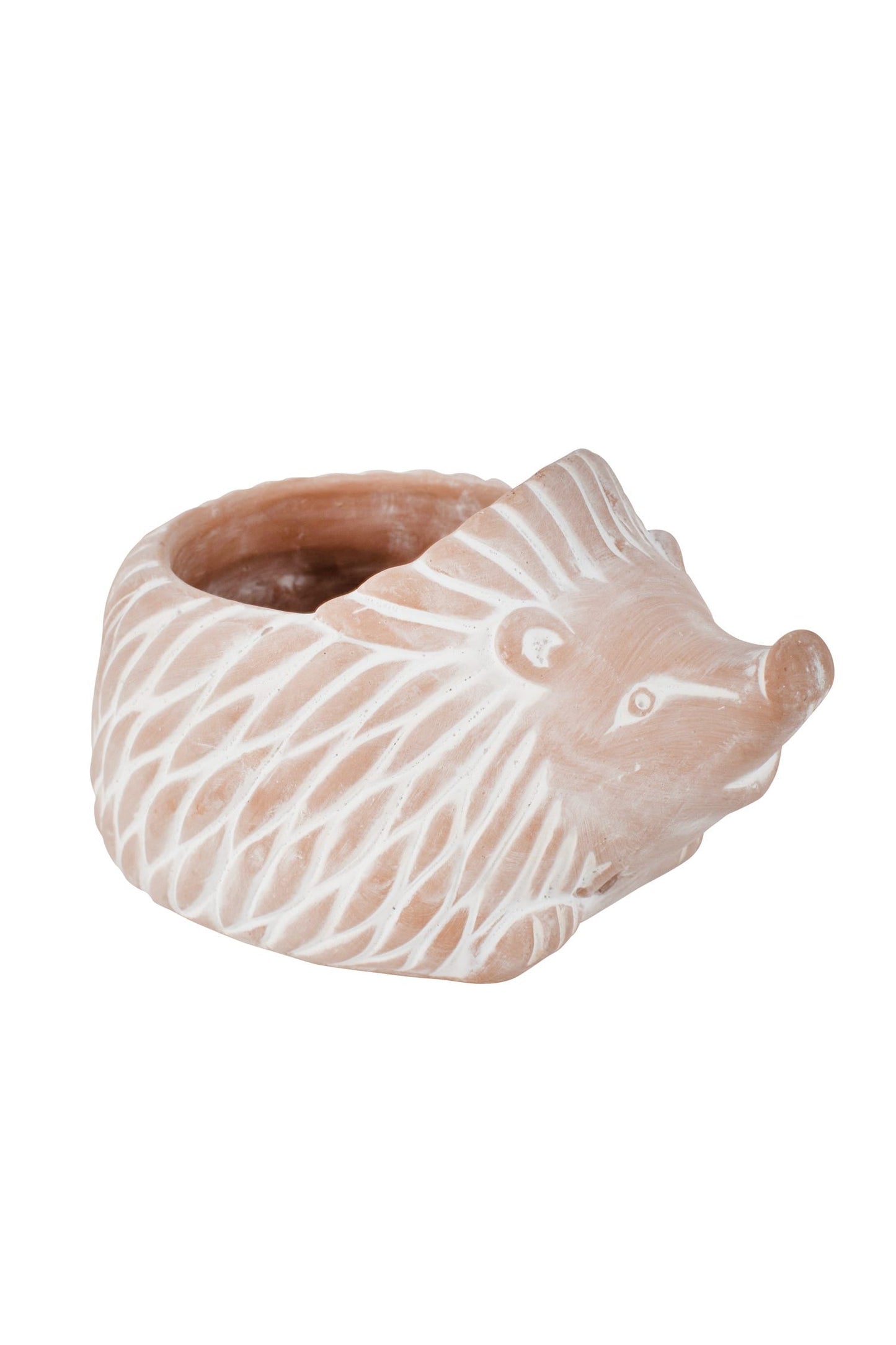 Hedgehog Planter