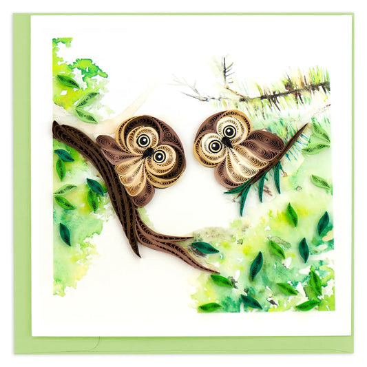 Quilled Owlets Greeting Card
