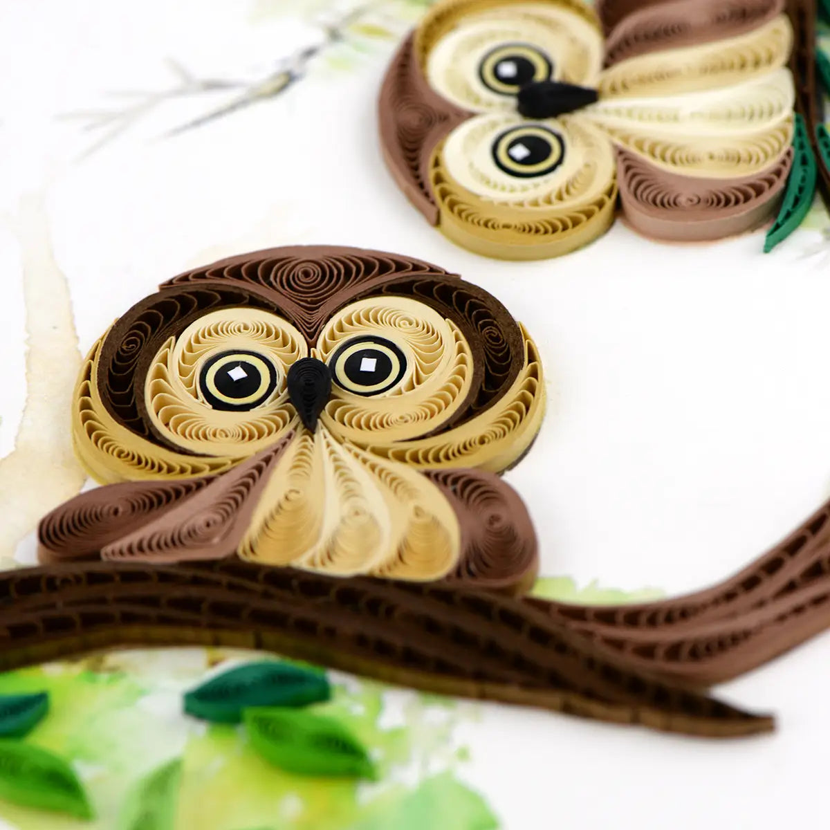 Quilled Owlets Greeting Card