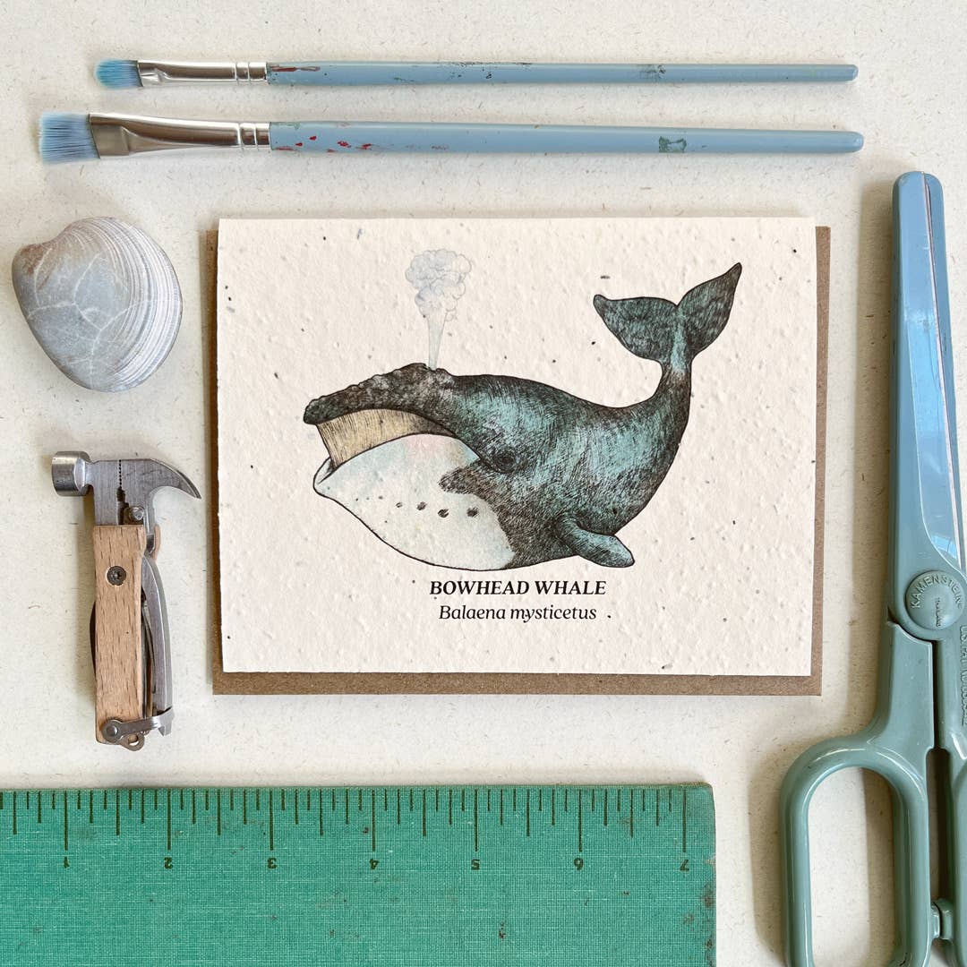 Bowhead Whale Plantable Wildflower Seed Card