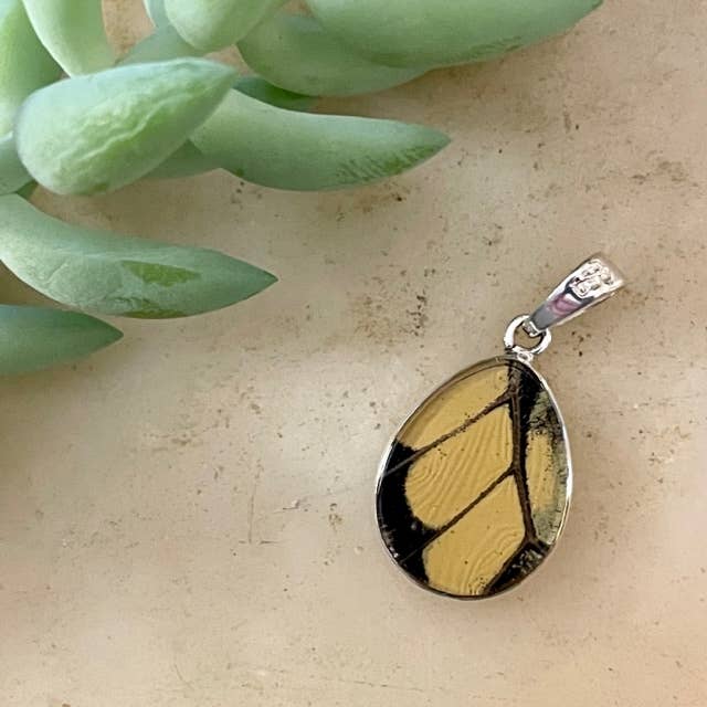 King Swallowtail Butterfly Pendant