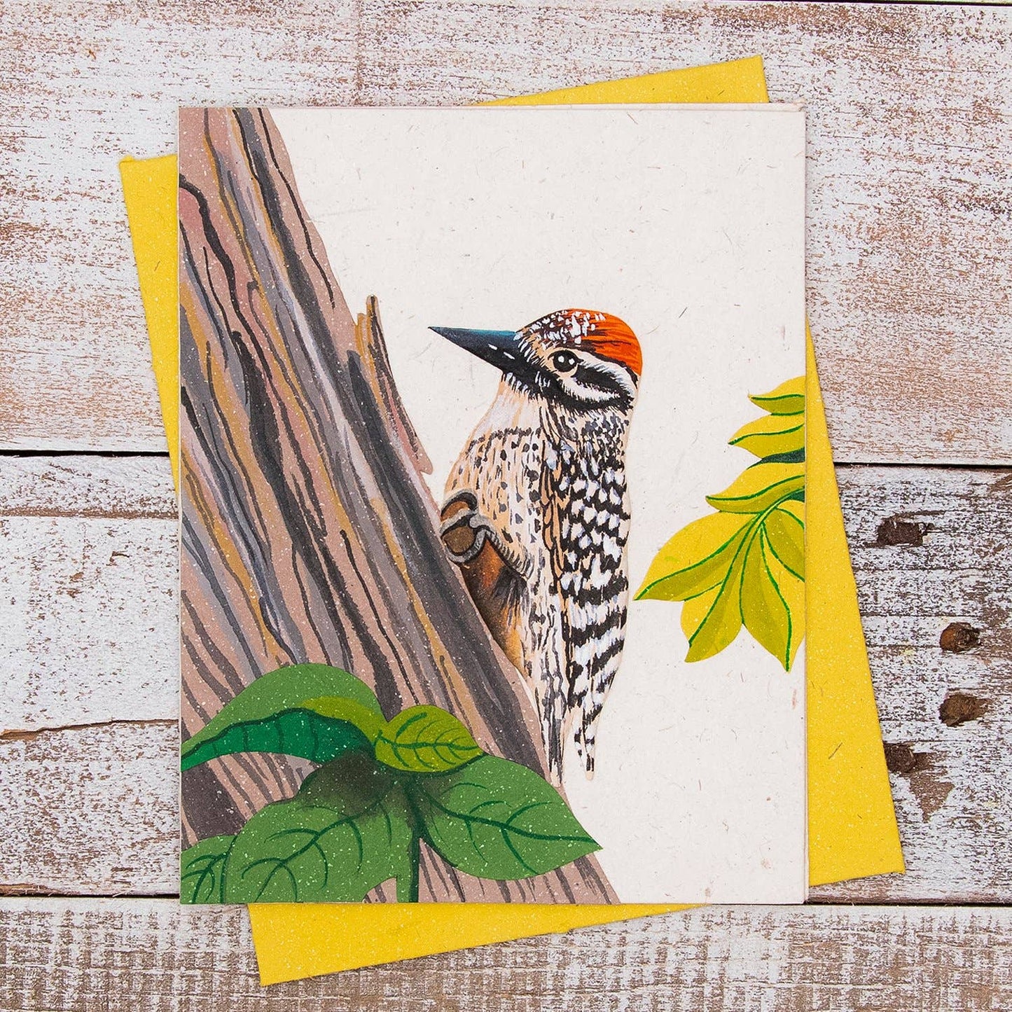 Woodpecker Greeting Card - Natural White