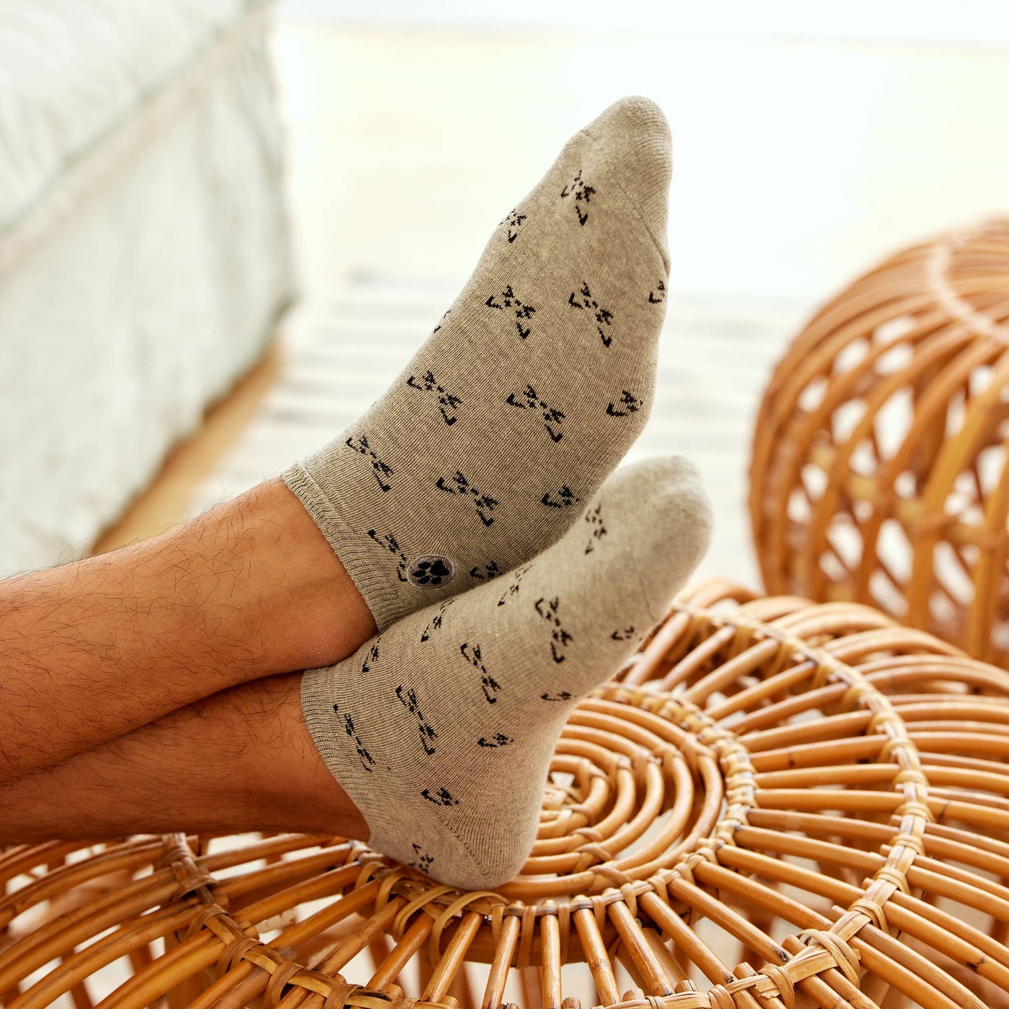 Ankle Socks that Save Cats (Gray)