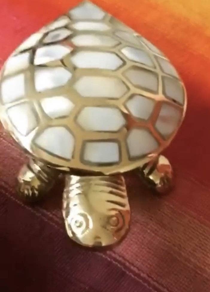 Mother of Pearl Turtle Box