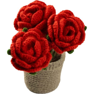 Knitted Plant - Assorted