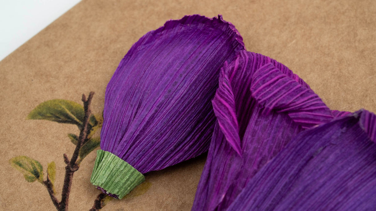 Husk & Heart - Purple Magnolia Card
