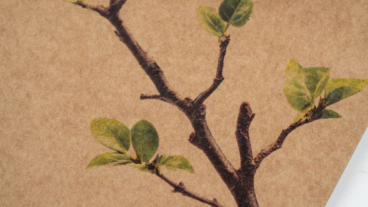 Husk & Heart - Purple Magnolia Card