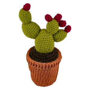 Knitted Plant - Assorted