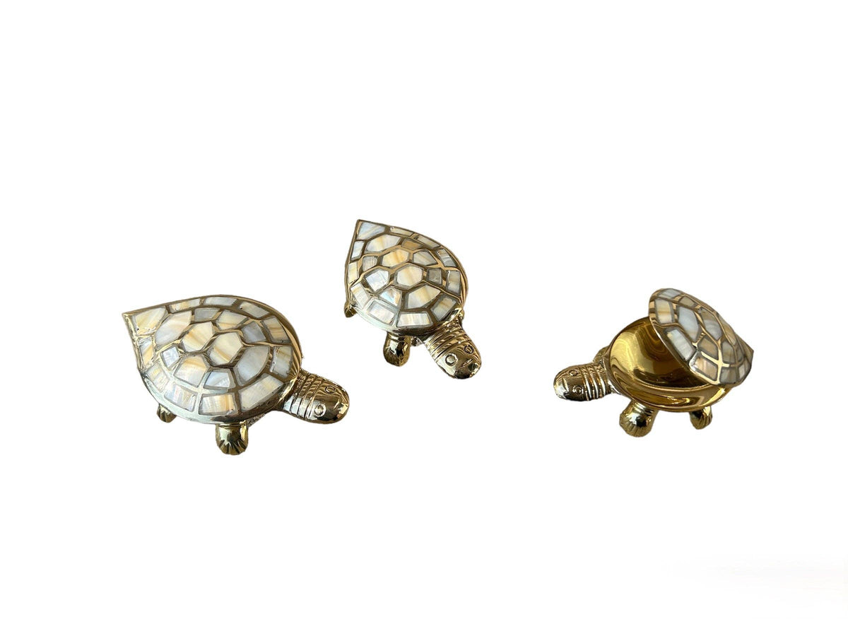 Mother of Pearl Turtle Box