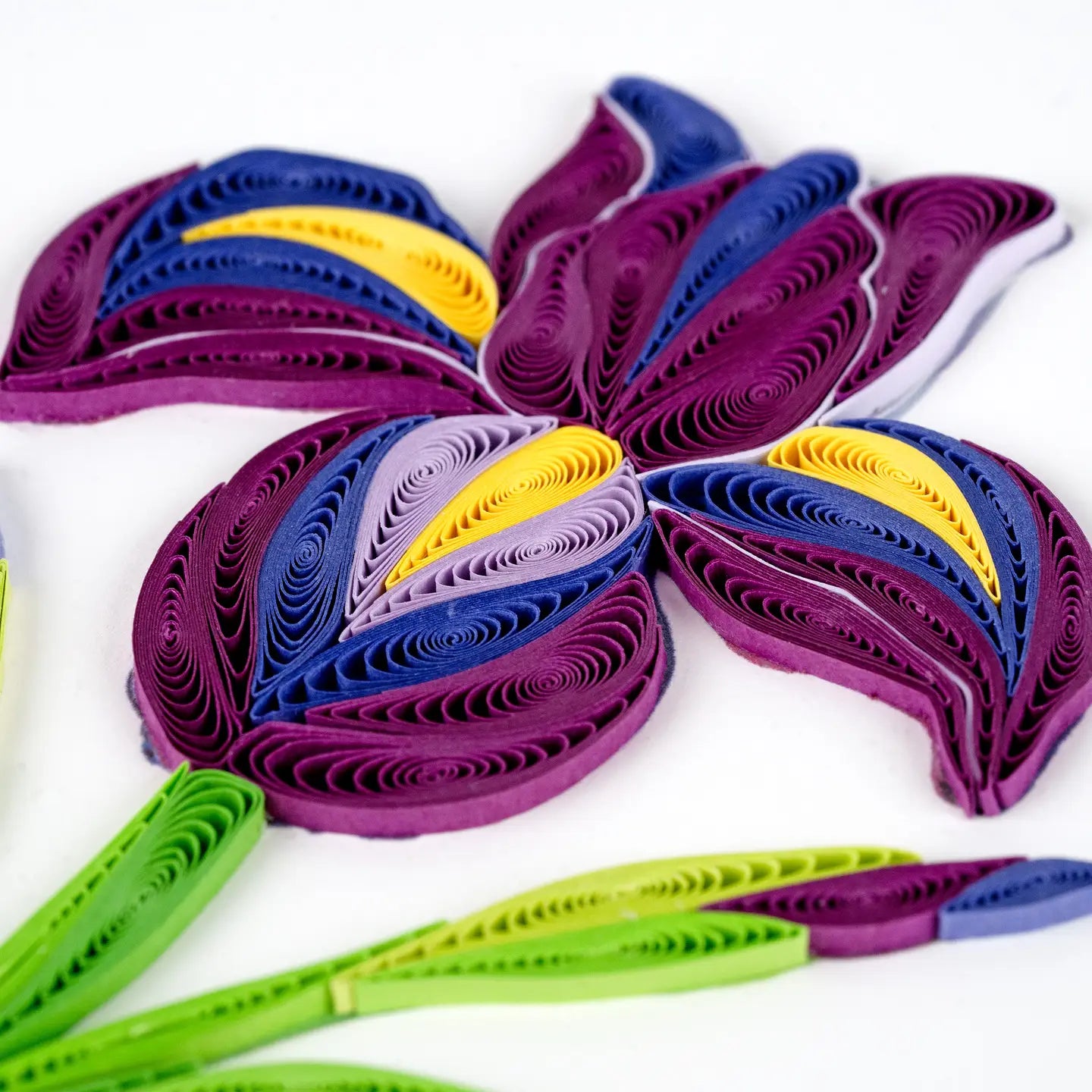 Quilled Iris Greeting Card