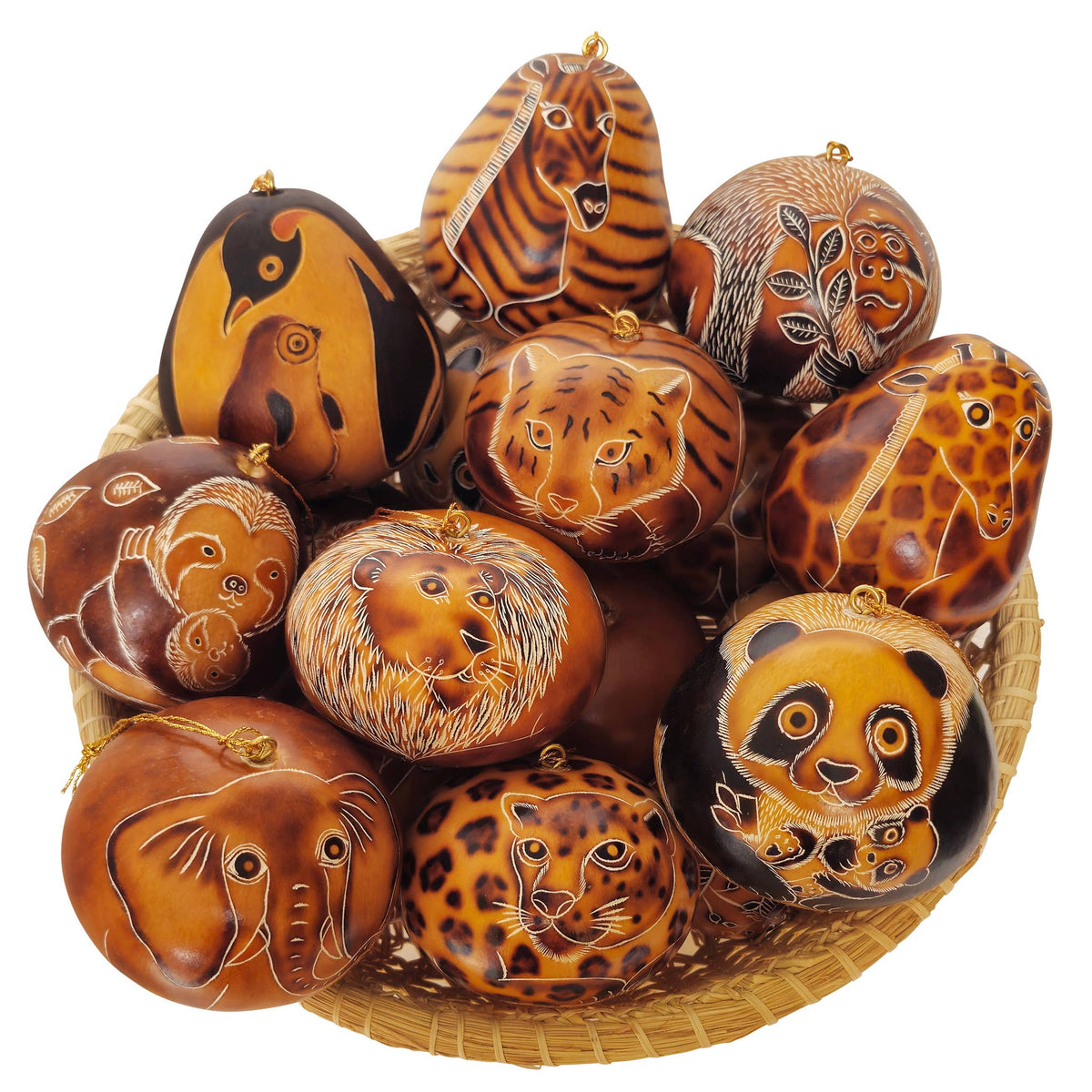 Gourd Ornament - Wild Zoo Assorted
