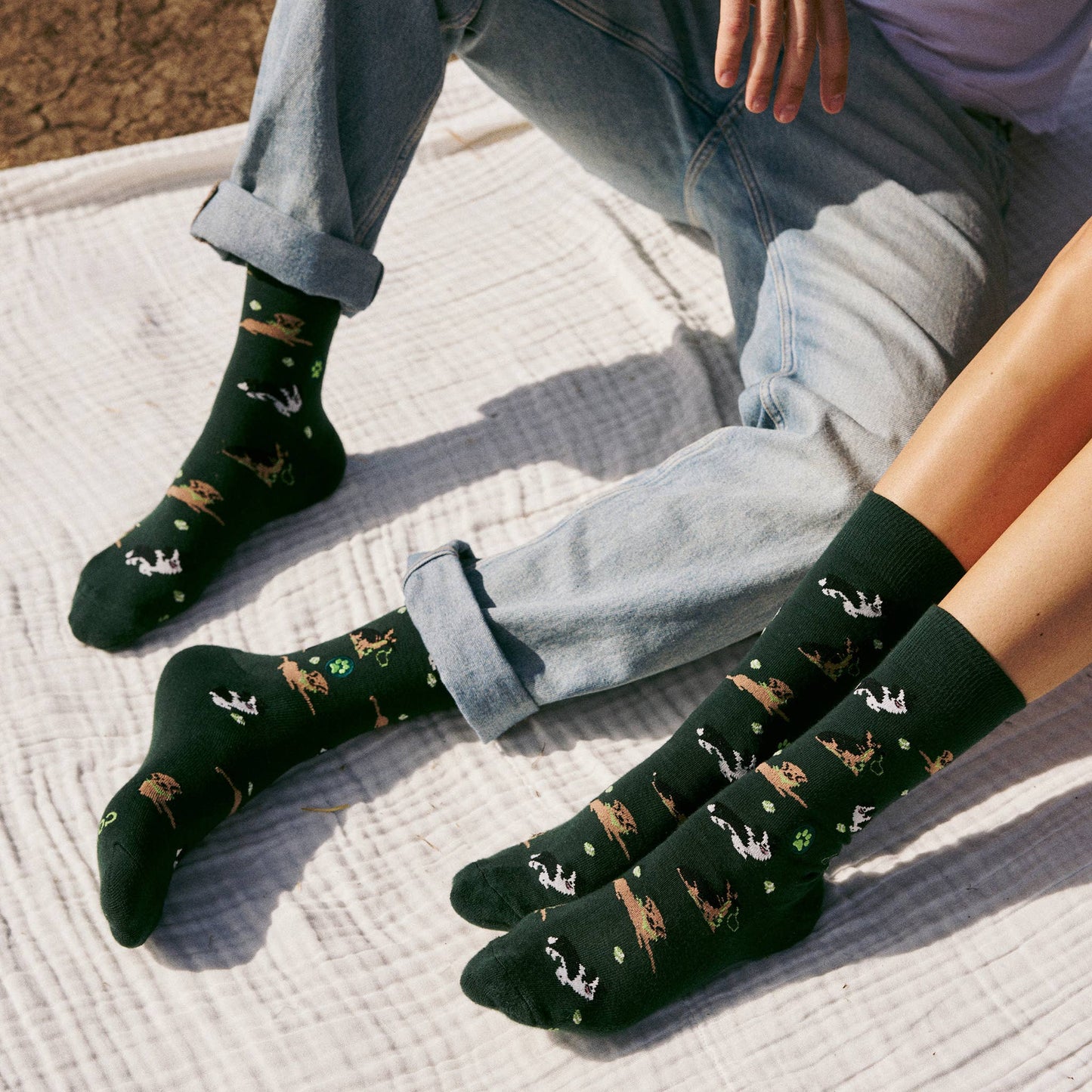 Socks that Save Dogs (Go Fetch)