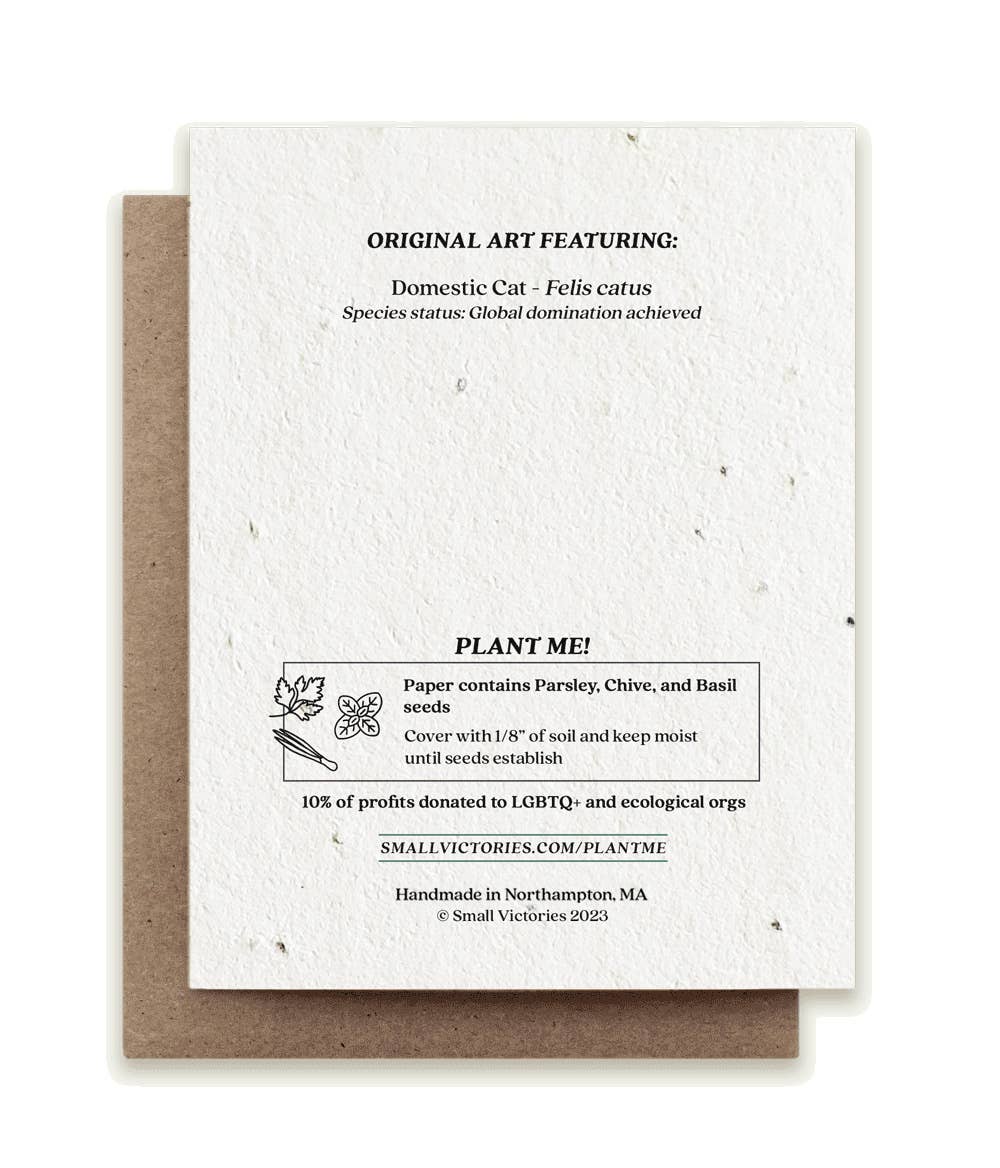 Gingerbread Cat Plantable Herb Seed Holiday Card
