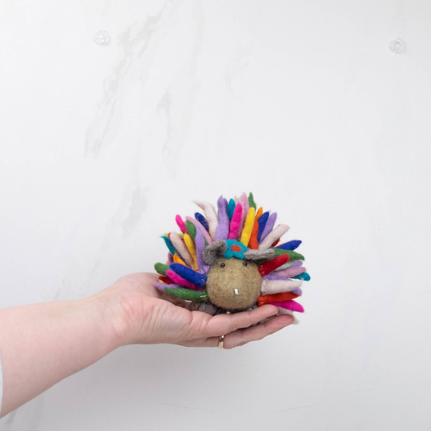 Hedgehog Toy - Rainbow, Small