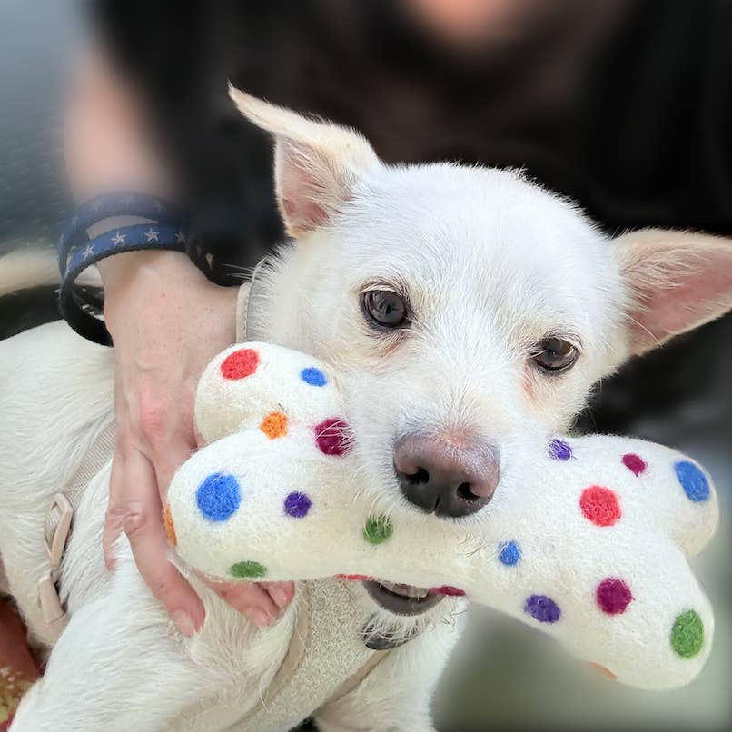 Patterned Eco Wool Dog Toys