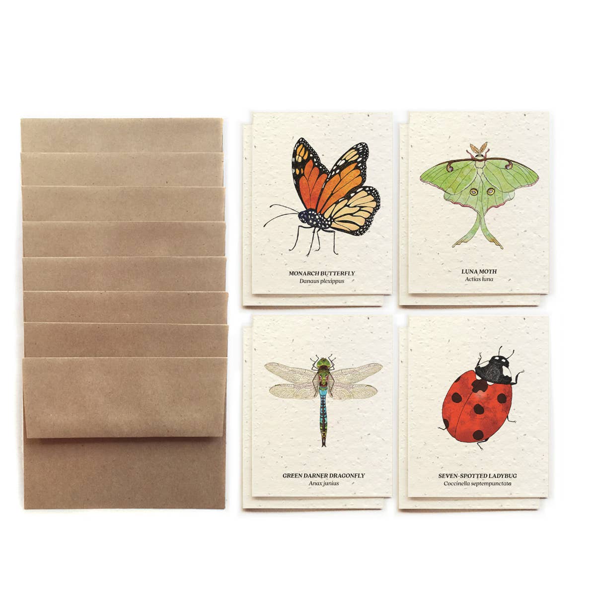 Insect Card Set (8) - Plantable Wildflower Seed Paper