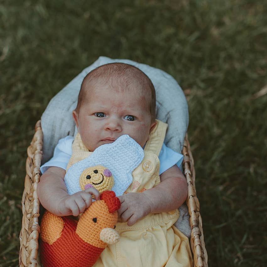 Rooster Baby Rattle
