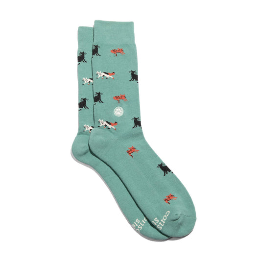 Socks that Save Cats | Teal Cats