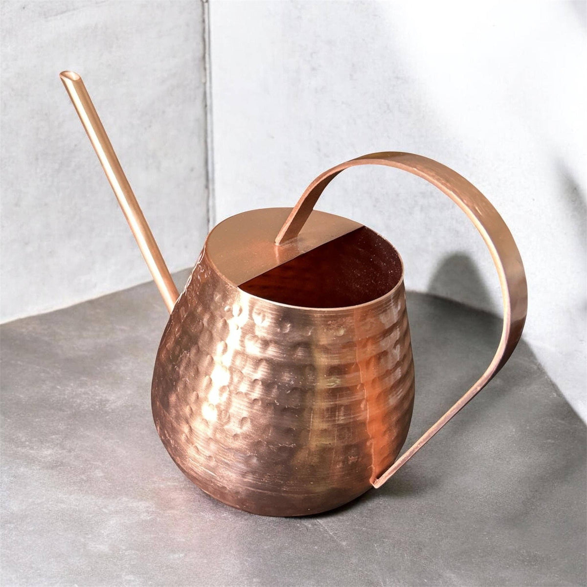 Copper Watering Can