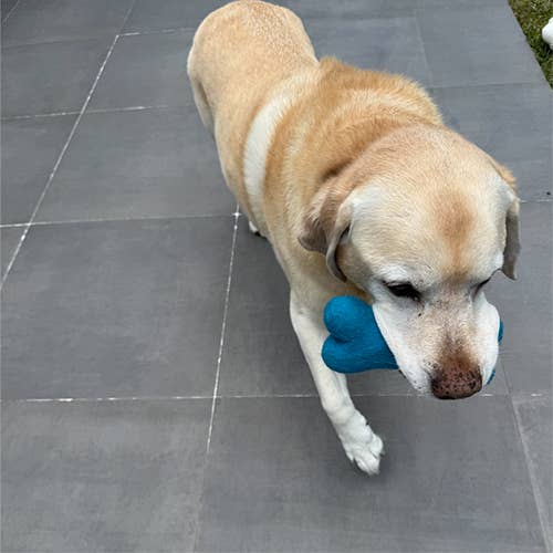 Solid Eco Wool Dog Toys