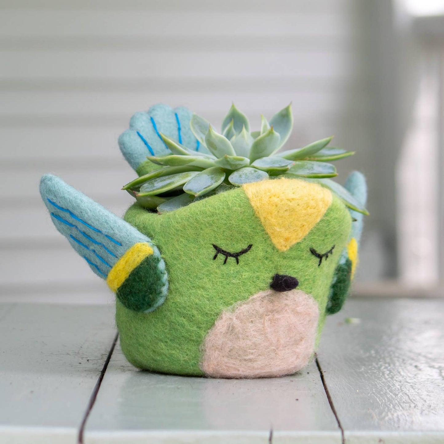 Hummingbird Felt Pot